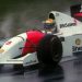 Senna Day