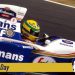Senna Day