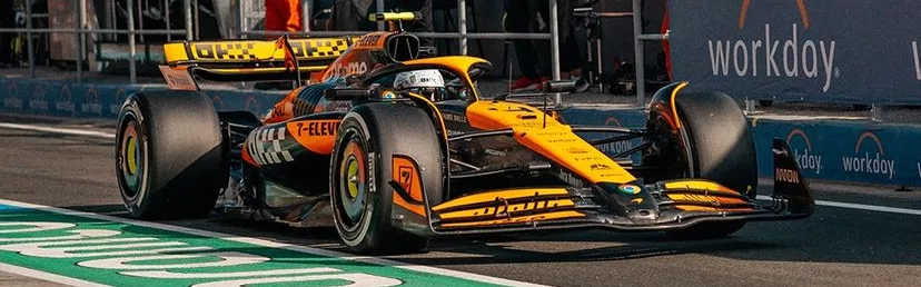 Qualifiche Gp Ungheria McLaren