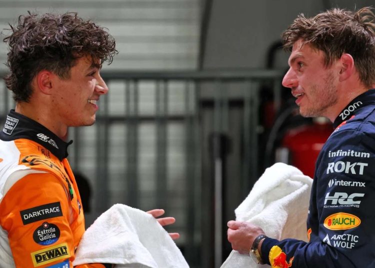 norris teme verstappen