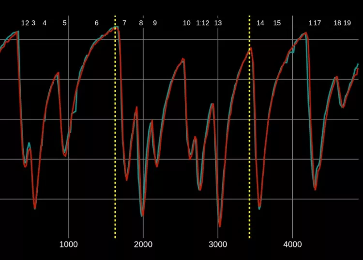 Gp Singapore analisi telemetria Mercedes Ferrari